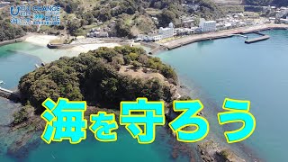 ヒメタツ観察会 日本財団 海と日本PROJECT in くまもと 2020 #19