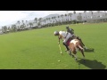 Polo - The Gentlemans' Sport