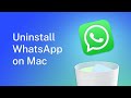 Uninstall WhatsApp on a Mac