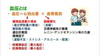 生活習慣病と食事指導　第1巻　高血圧症と食事指導 医学