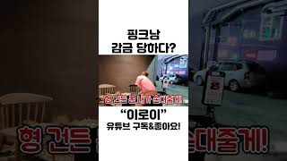 [이로이] 핑크남 감금 당하다? #shorts