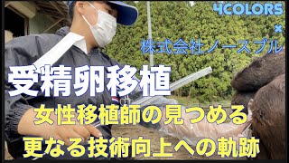 【牛の受精卵移植】株式会社ノースブル、最前線で活躍する女性移植師の受精卵移植