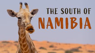 A DESERT ADVENTURE: Exploring the Namib and Kalahari in the South of Namibia