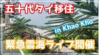 [五十代タイ移住]緊急雲海ライブ7月10日日本時間7時30分・タイ時間5時30分