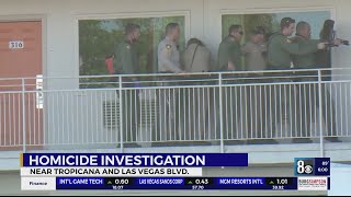 Woman killed near Tropicana and Las Vegas Boulevard; Metro’s still searching for the suspect