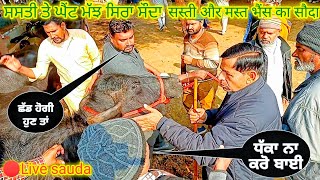 ਸਸਤੀ ਤੇ ਘੈਂਟ ਮੱਝ ਸਿਰਾ ਸੌਦਾ #live_sauda sasti or mast buffalo ka sauda @FarmingbabaPunjab Dabwali