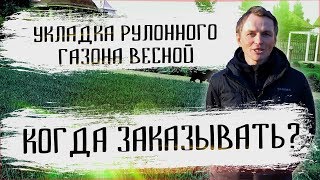 Когда лучше укладывать рулонный газон и когда его заказывать