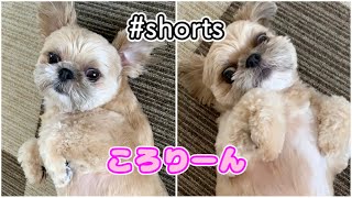 Playtube Pk Ultimate Video Sharing Website