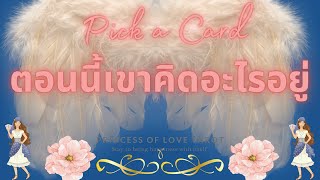 ตอนนี้เขาคิดอะไรอยู่ Pick a Card EP.396/Timeless 👸🏼🤴🏻🤍🦄🤍