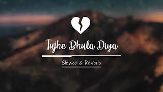 Tujhe Bhula Diya Slow and reverb Song(Most Amazing sad song)