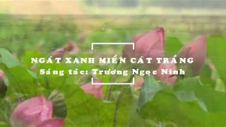 NGÁT XANH MIỀN CÁT TRẮNG