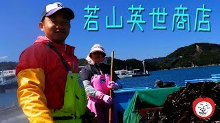 若山英世商店 鳴門のワカメ 【 Travel Japan うろうろ四国 】  徳島県 鳴門市 Seaweed