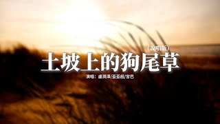 盧潤澤/歪歪超/宮巴 - 土坡上的狗尾草 (說唱版) 『土坡上狗尾巴草搖啊，搖得人眼淚掉，你那頭月亮照不照得到，唱首狗兒的歌謠，我的小黃你卻已聽不到。』【動態歌詞MV】