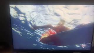 Soul Surfer Shark Attack