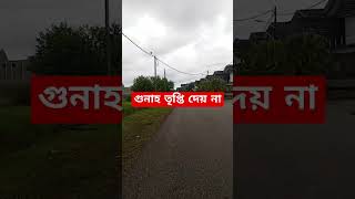 গুনাহ তৃপ্তি দেয় না