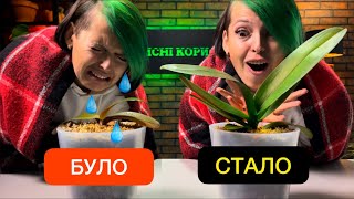 Пересадка орхідеї. Коли і як. Чи потрібно після покупки пересаджувати.