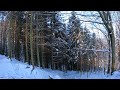 morning winter walks virtual walking 4k pure sounds of walk countryside atmosphere relax