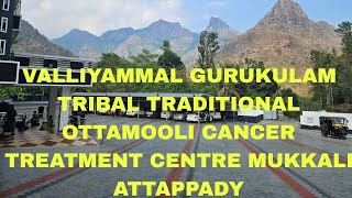 VALLIYAMMAL GURUKULAM TRIBAL TRADITIONAL OTTAMOOLI CANCER TREATMENT CENTRE  MUKKALI ATTAPPADY