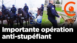 Opération anti-drogue : drones, chevaux, chiens mobilisés en Essonne - 28/02/2025