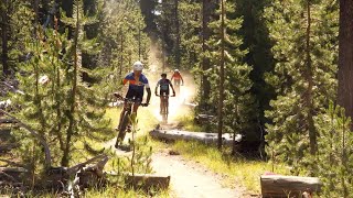 Dust, Tears, and Beer - High Cascades 100 2019