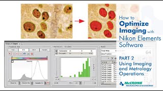 How to Optimize Imaging with Nikon Elements Software, Part 2: Using Imaging and Metrology Operations