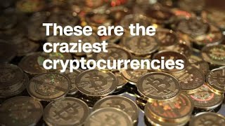 Forget Bitcoin These Are The 8 Craziest Cryptocurrencies