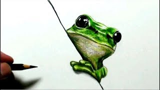 色鉛筆でカエルを描いたアマガエル編　Realistic colored pencil drawing of a frog