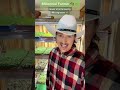 How I Went Viral & Made 25k in 1 Month Growing & Selling Microgreens