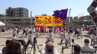 「折戸悠悠」藍流まつり　舞りゃ～せ2013　２回目の演舞