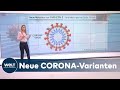 WELT HINTERGRUND: N501Y-Variante - Wie gefährlich sind die Mutationen des Coronavirus?