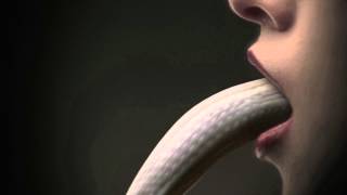 American Horror Story Season 3 Slither Trailer