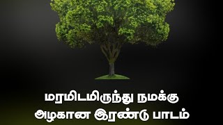 மரமிடமிருந்து நமக்கு அழகான இரண்டு பாடங்கள்