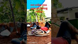 କାମ ହାଲିଆ ହୋଇ କୁକୁର ପରି ମାଟିରେ ଗଡ଼ିଛୁ #short video in kerala #kandhamal, daringbadi //ଓଡ଼ିଶା କାଶ୍ମୀର