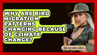 Why Are Bird Migration Patterns Changing Because Of Climate Change? - Bird Watching Diaries