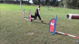 caz agility 9 months