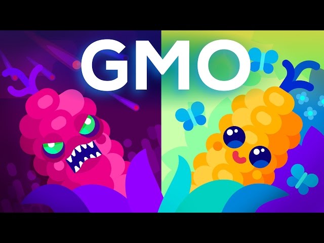 Are GMO Foods Good Or Bad Deep Liste…: English ESL Video Lessons