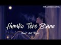 humko tere bina jeena toh sikha lofi chale jana phir rahul mishra total lofi song channel