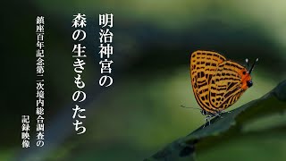 明治神宮の森の生きものたち　鎮座百年記念 第二次明治神宮境内総合調査記録映像