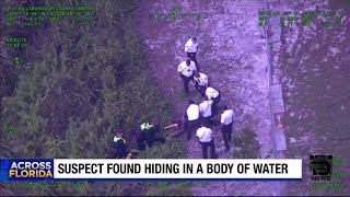 Felony suspect caught trying to hide in the brush in Hillsborough County