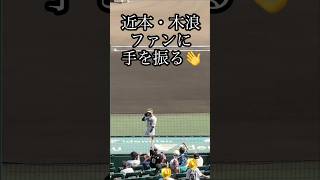 ファンの声かけに手を挙げる木浪選手、近本選手 2024.9.14 #近本光司 #木浪聖也 #阪神タイガース