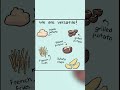 the best veggie... (blanche.draw Comic Dub)