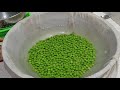 full step by step guide for frozen peas with subtitles આખુ વર્ષ માટે વટાણા ફ્રોઝન કરવની રીત