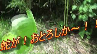 Castle ruins remaining in Japan! A lord who existed deep in the mountains