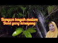 Menyiram tanaman yang baik pada waktu malam  #cara #bercocoktanam