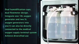 Owgels 10L Oxygen Concentrator