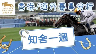 【知舍一週】 20240412 香港賽事分析 + 女皇伊利沙伯錦標