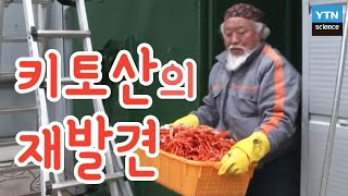 [기술자들] 친환경 특수소재, 키토산의 재발견 / YTN 사이언스