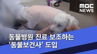 동물병원 진료 보조하는 '동물보건사' 도입 (2019.08.26/5MBC뉴스)