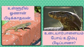 Tamil proverb/பழமொழிகளின்அர்த்தம்/ உள்ளூரில்