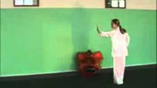 Chang Quan Wushu JI CHU ER Basic Taolu 20